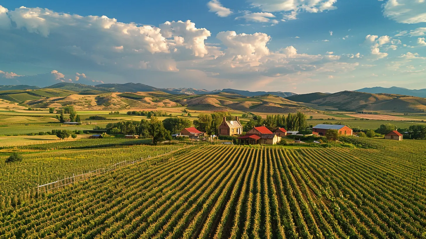Rural Zoning Regulations: What They Mean for Landowners