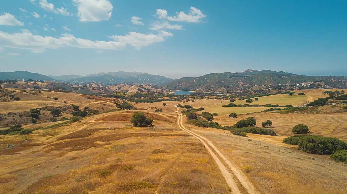 Turning Land into Gold: Profitable Land Development Strategies