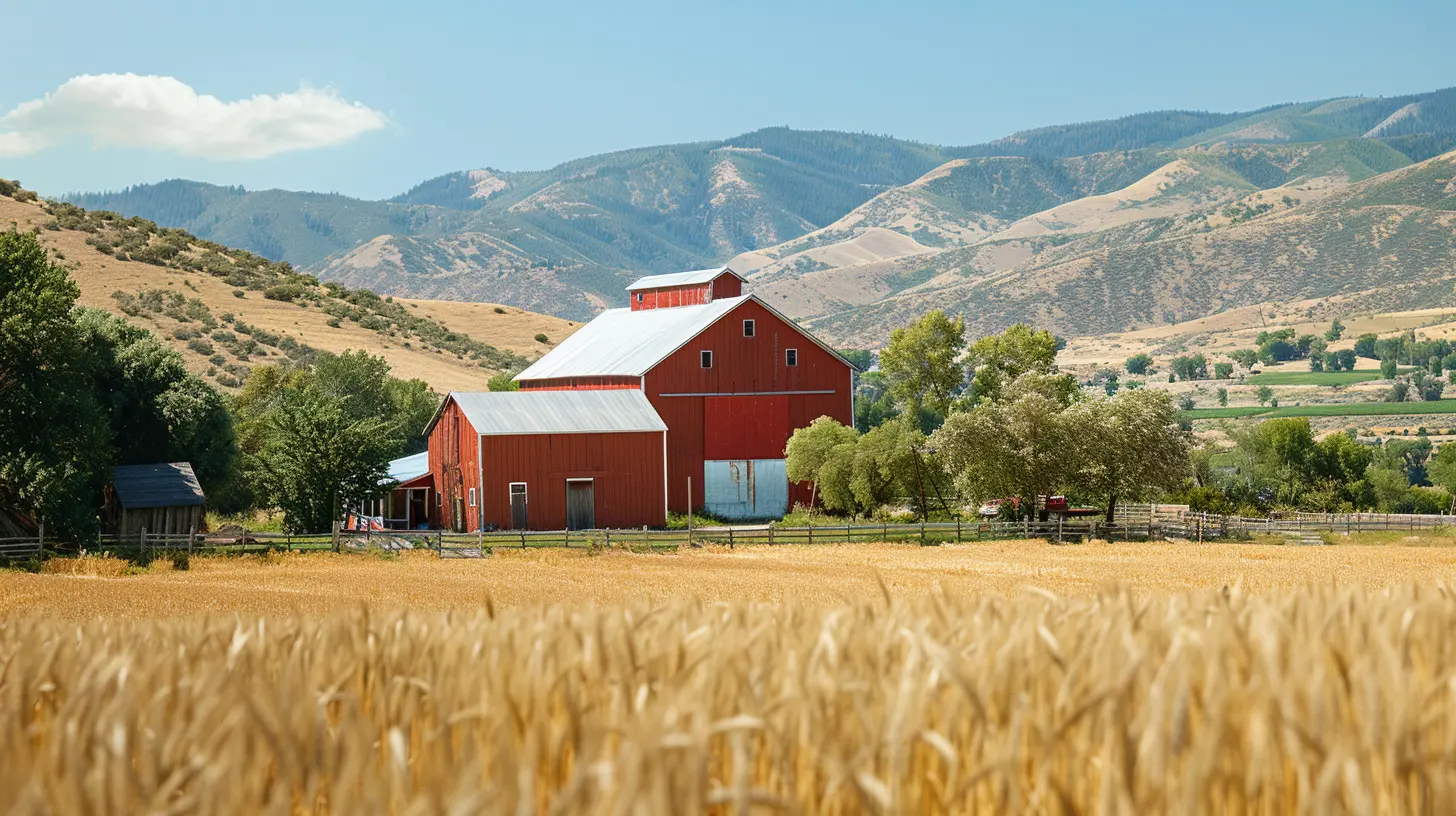 Zoning Laws for Agricultural Properties: What Landowners Need to Know