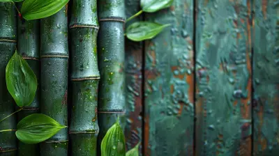Bamboo in Construction: A Renewable Resource for Homes