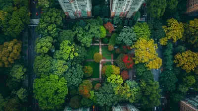 How Zoning Ordinances Shape Public Spaces And Parks