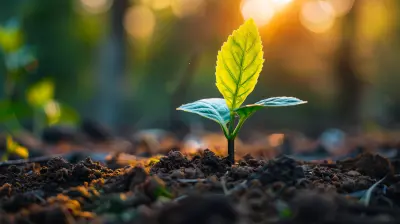 The Relationship Between Real Estate Coaching and Long-Term Growth