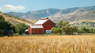 Zoning Laws for Agricultural Properties: What Landowners Need to Know