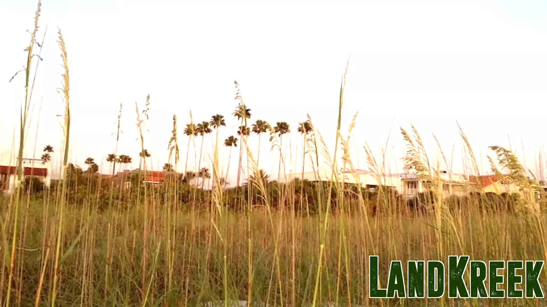 Pinellas Beaches Real Estate Update: November 14-20