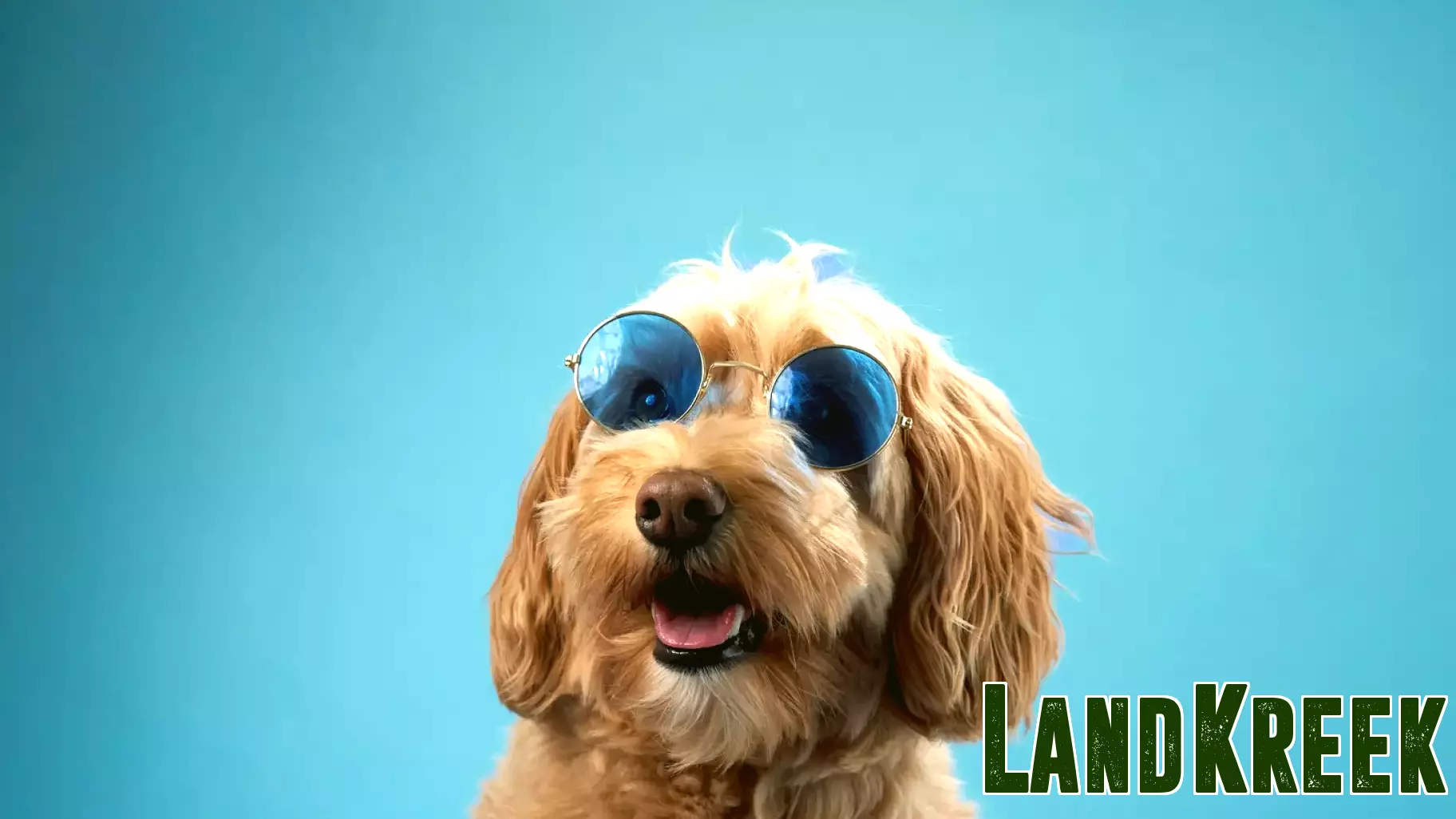 RQI: Tax-Efficient Income Machine From Real Estate Exposure