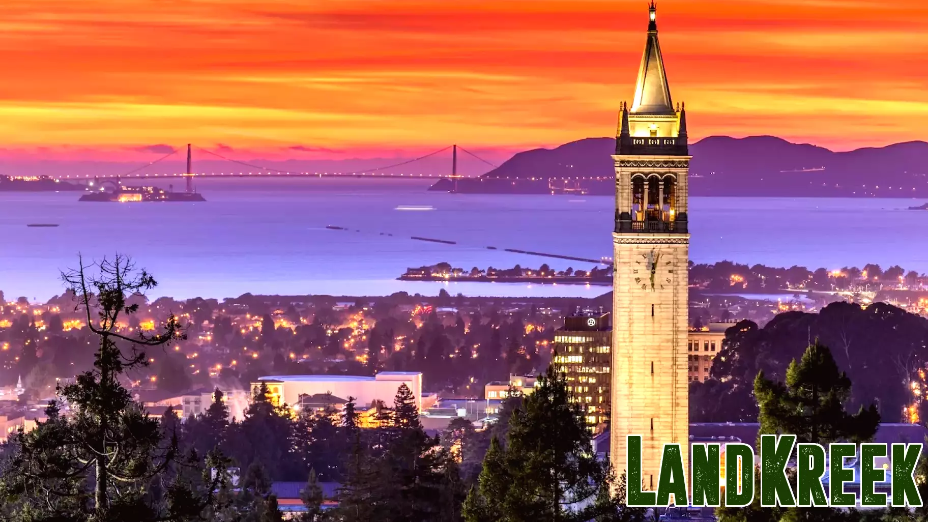 The real estate brokerage behind your agent matters more than you might think