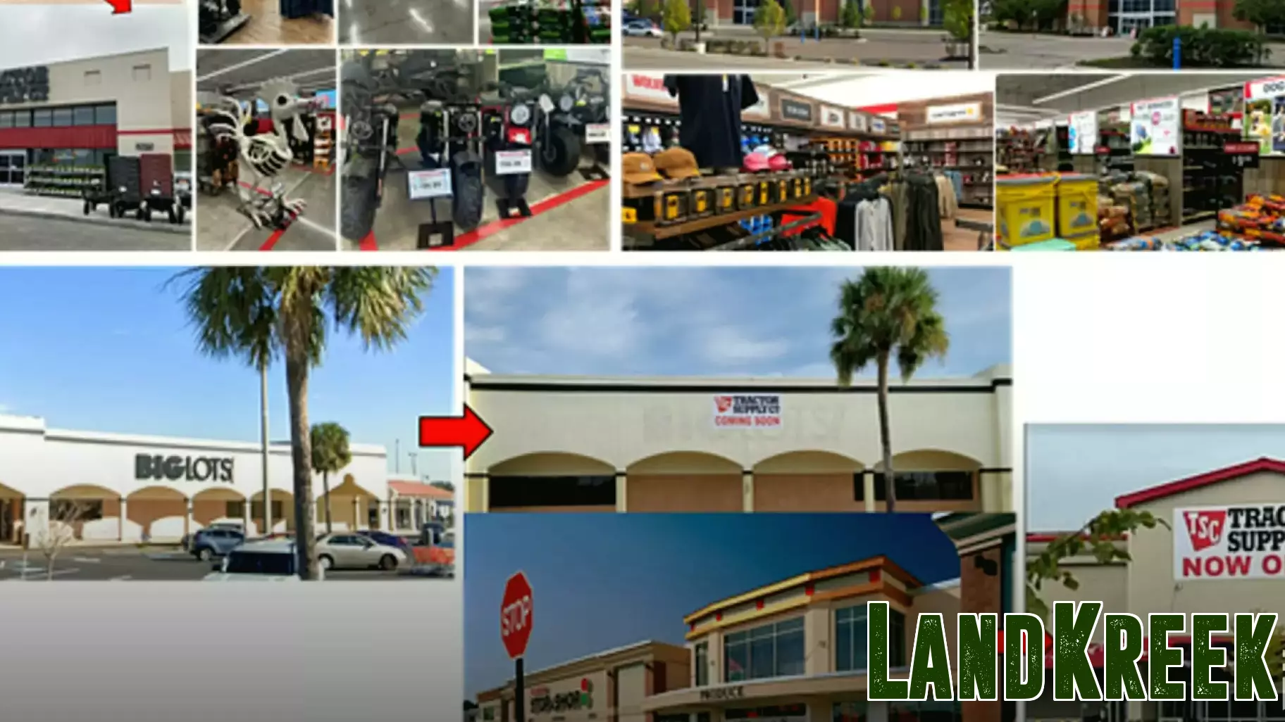 Tractor Supply Expands into Unconventional Spaces with Big Box Stores