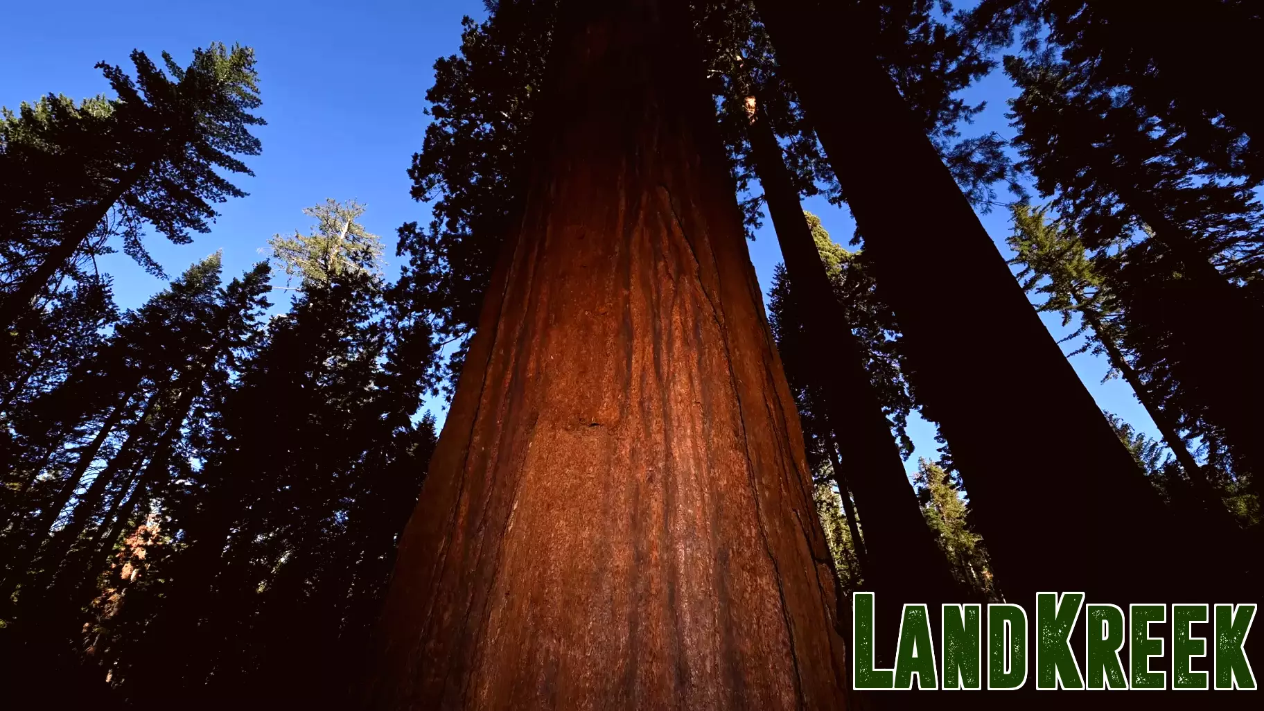 Trump Admin Eyes Deal to Give Away Yosemite Park Land to Real Estate Firm