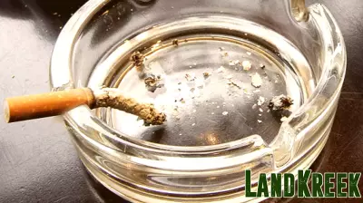 Can Homeowners Associations Restrict Smoking in Private Residences?