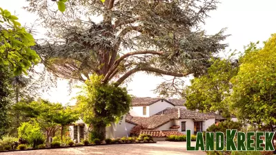 Photos: Hillsborough mansion once owned by a Walmart founder listed for $11.5 million