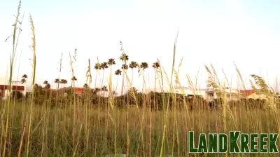 Pinellas Beaches Real Estate Update: February 3-7