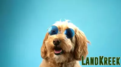 RQI: Tax-Efficient Income Machine From Real Estate Exposure