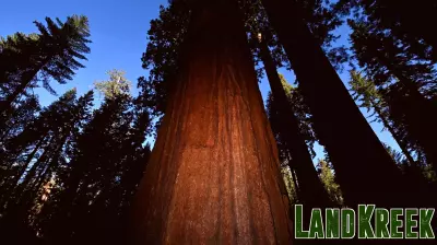 Trump Admin Eyes Deal to Give Away Yosemite Park Land to Real Estate Firm